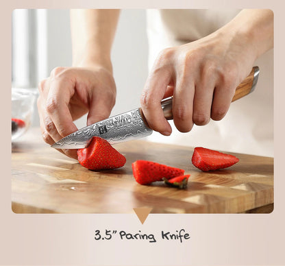 Kitchen Knife Set 73 Layers Custom Damascus